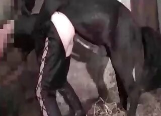 Tight pussy gaped by a stallion