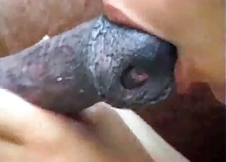 مشهد جنسي بين حيوانات المزرعة مع سيدة لاتينية ناضجة