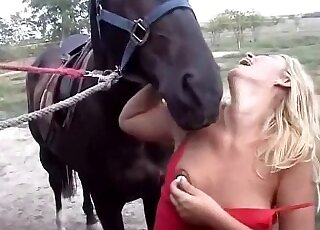 Incredible stallion dick video with hot action