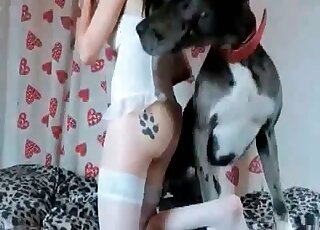 Good-looking porno movie with real amateurs